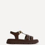Adventure Brown Gladiator Flat Sandals