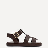 Camden Brown Gladiator Sandals