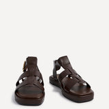 Camden Brown Gladiator Sandals