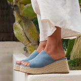 Espresso Pale Blue Faux Suede Espadrille Mule Wedges