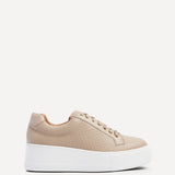 Twyla Mocha Faux Leather Trainers