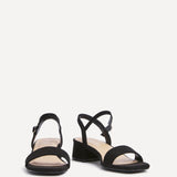 Tillie Black Faux Suede Low Heels
