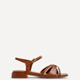Zenna Tan Strappy Low Sandals