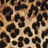 Leopard Print